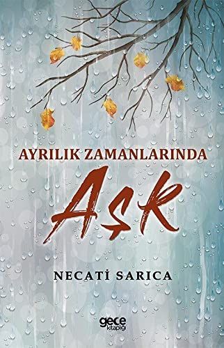 Ayrılık Zamanlarında Aşk kapağı