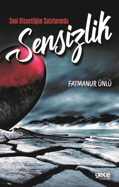 Seni Hissettiğim Satırlarımda Sensizlik kapağı