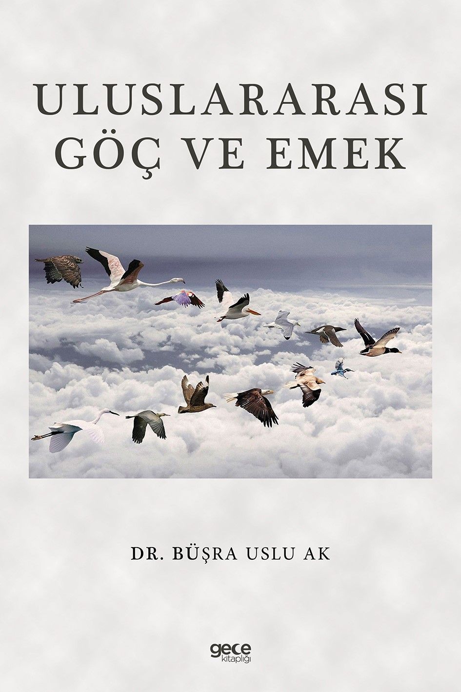 Uluslararası Göç ve Emek kapağı