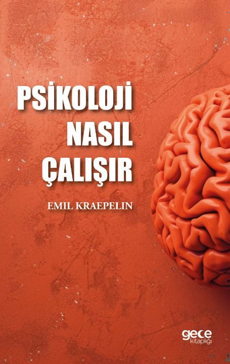 Psikoloji Nasıl Çalışır kapağı