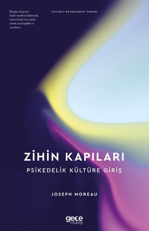 Zihin Kapıları Psikedelik Kültüre Giriş kapağı