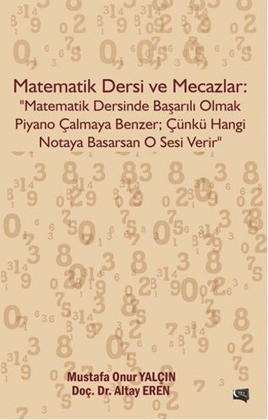 Matematik Dersi ve Mecazlar kapağı