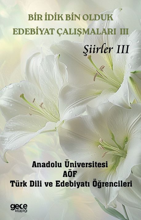 Bir İdik Bin Olduk Edebiyat Çalışmaları III: Şiirler III kapağı