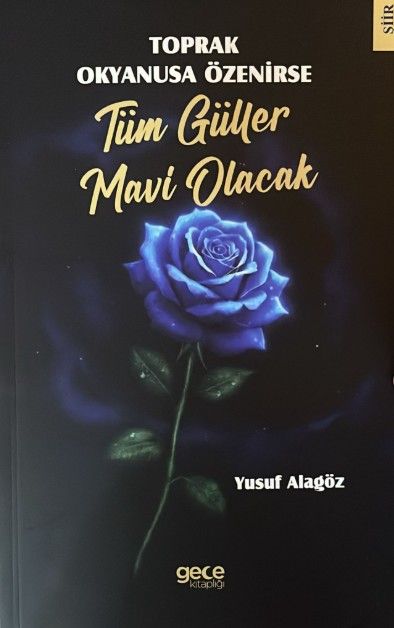 Toprak Okyanusa Özenirse Tüm Güller Mavi Olacak kapağı