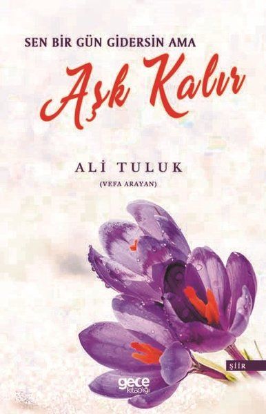 Sen Bir Gün Gidersin Ama Aşk Kalır kapağı