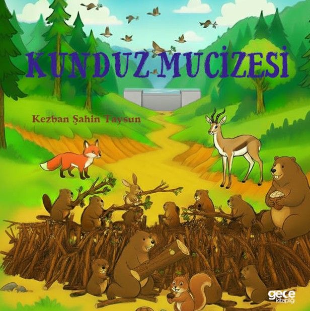 Kunduz Mucizesi kapağı