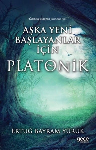 Aşka Yeni Başlayanlar İçin Platonik kapağı