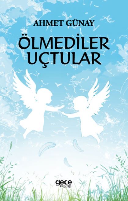 Ölmediler Uçtular kapağı