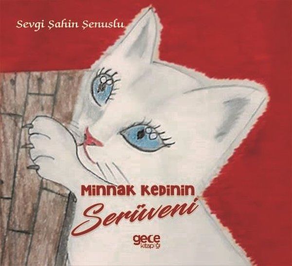 Minnak Kedinin Serüveni kapağı