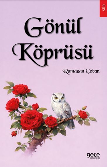 Gönül Köprüsü kapağı