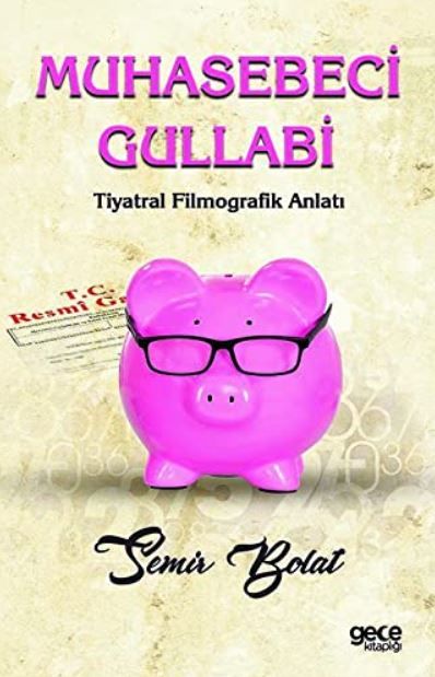 Muhasebeci Gullabi kapağı