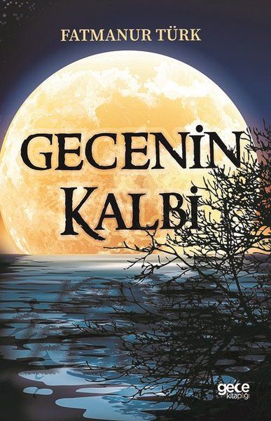 Gecenin Kalbi kapağı