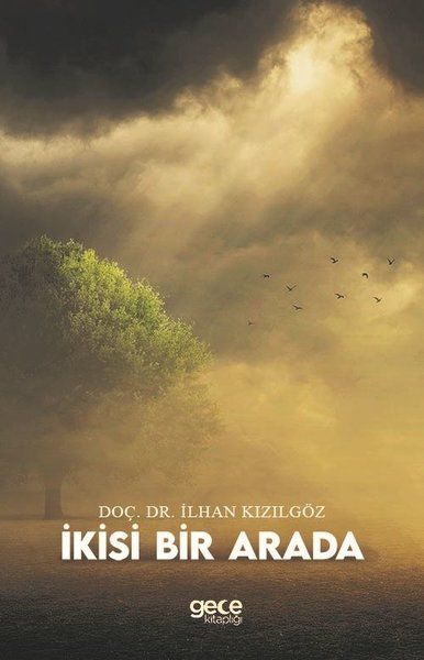 İkisi Bir Arada kapağı
