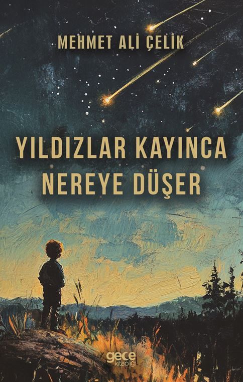 Yıldızlar Kayınca Nereye Düşer kapağı