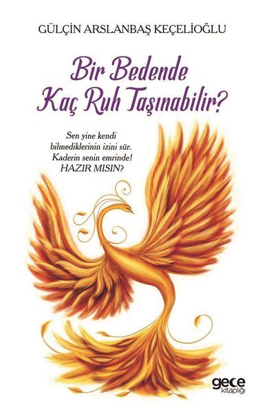Bir Bedende Kaç Ruh Taşınabilir? kapağı