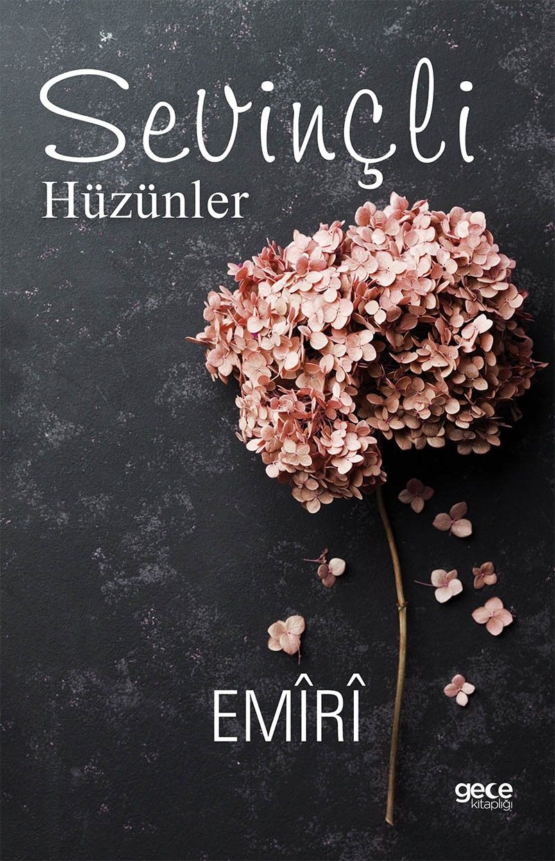 Sevinçli Hüzünler kapağı