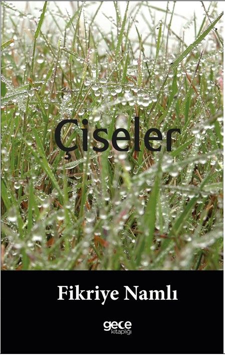 Çiseler kapağı