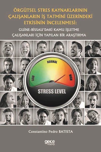 Örgütsel Stres Kaynaklarının Çalışanların İş Tatmini Üzerindeki Etkisinin İncelenmesi: Guine-Bissau’daki Kamu İşletme Çalışanları İçin Yapılan Bir Araştırma kapağı