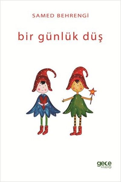 Bir Günlük Düş kapağı