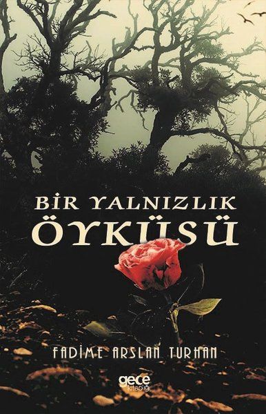 Bir Yalnızlık Öyküsü kapağı
