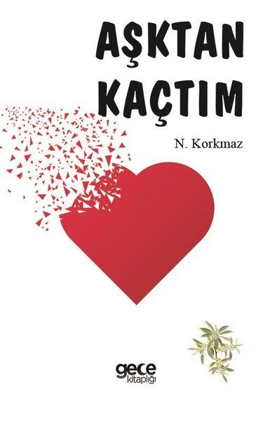 Aşktan Kaçtım kapağı