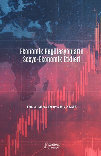 Ekonomik Regülasyonların Sosyo-Ekonomik Etkileri kapağı