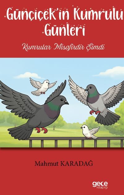 Günçiçek’in Kumrulu Günleri kapağı