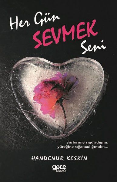 Her Gün Sevmek Seni kapağı