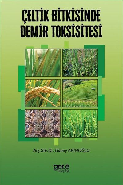 Çeltik Bitkisinde Demir Toksisitesi kapağı