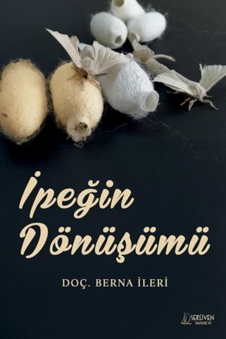 İpeğin Dönüşümü kapağı
