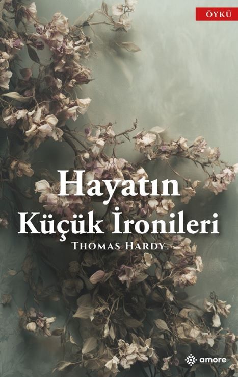 Hayatın Küçük İronileri kapağı