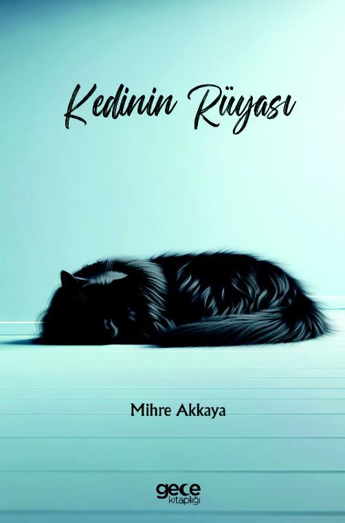 Kedinin Rüyası kapağı