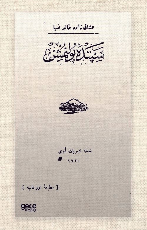 Sepette Bulunmuş (Osmanlıca) kapağı