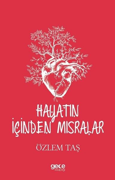 Hayatın İçinden Mısralar kapağı