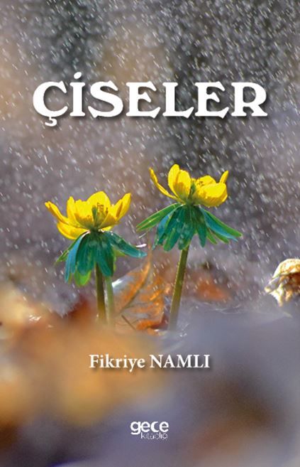 Çiseler kapağı