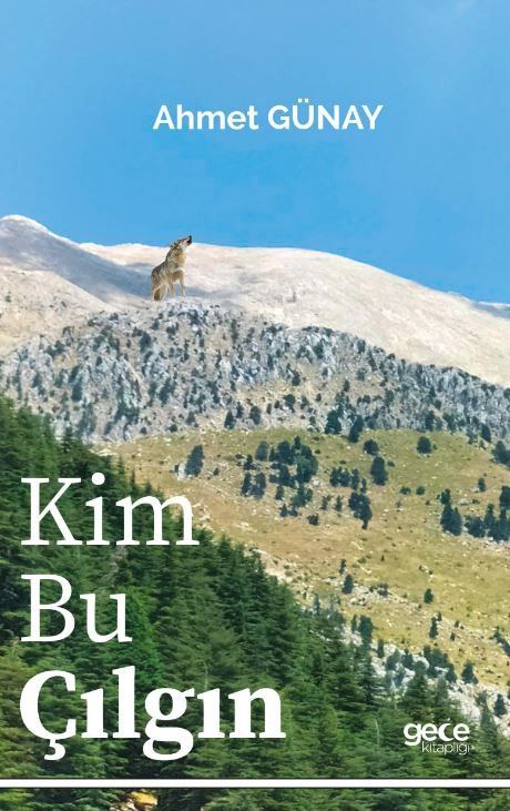 Kim Bu Çılgın kapağı