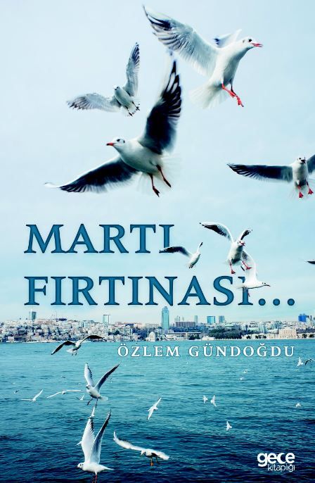 Martı Fırtınası kapağı