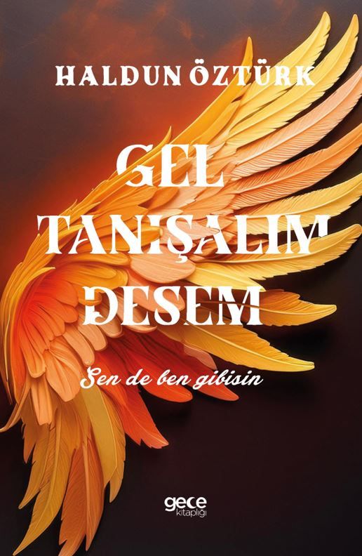 Gel Tanışalım Desem-Sen de Ben Gibisin kapağı