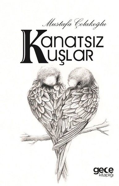 Kanatsız Kuşlar kapağı