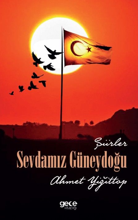 Sevdamız Güneydoğu kapağı