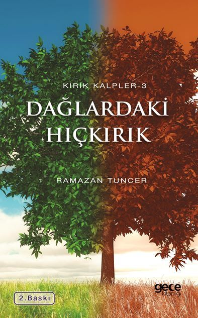 Dağlardaki Hıçkırık kapağı