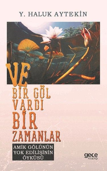 Ve Bir Göl Vardı Bir Zamanlar kapağı