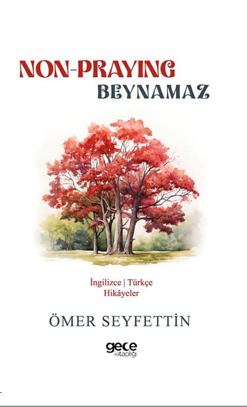 Non-Praying - Beynamaz kapağı
