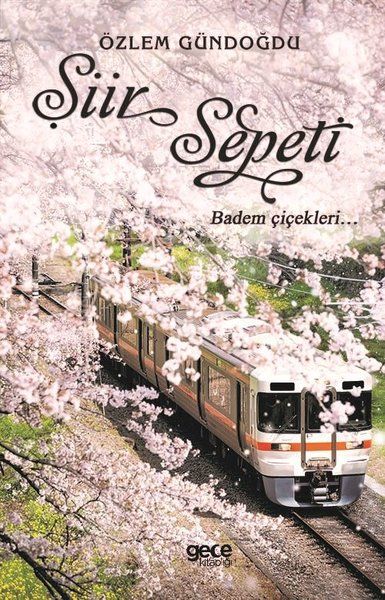 Şiir Sepeti 2 kapağı
