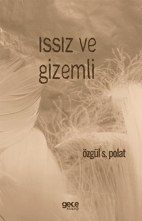Issız ve Gizemli kapağı