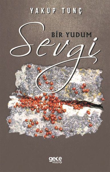 Bir Yudum Sevgi kapağı
