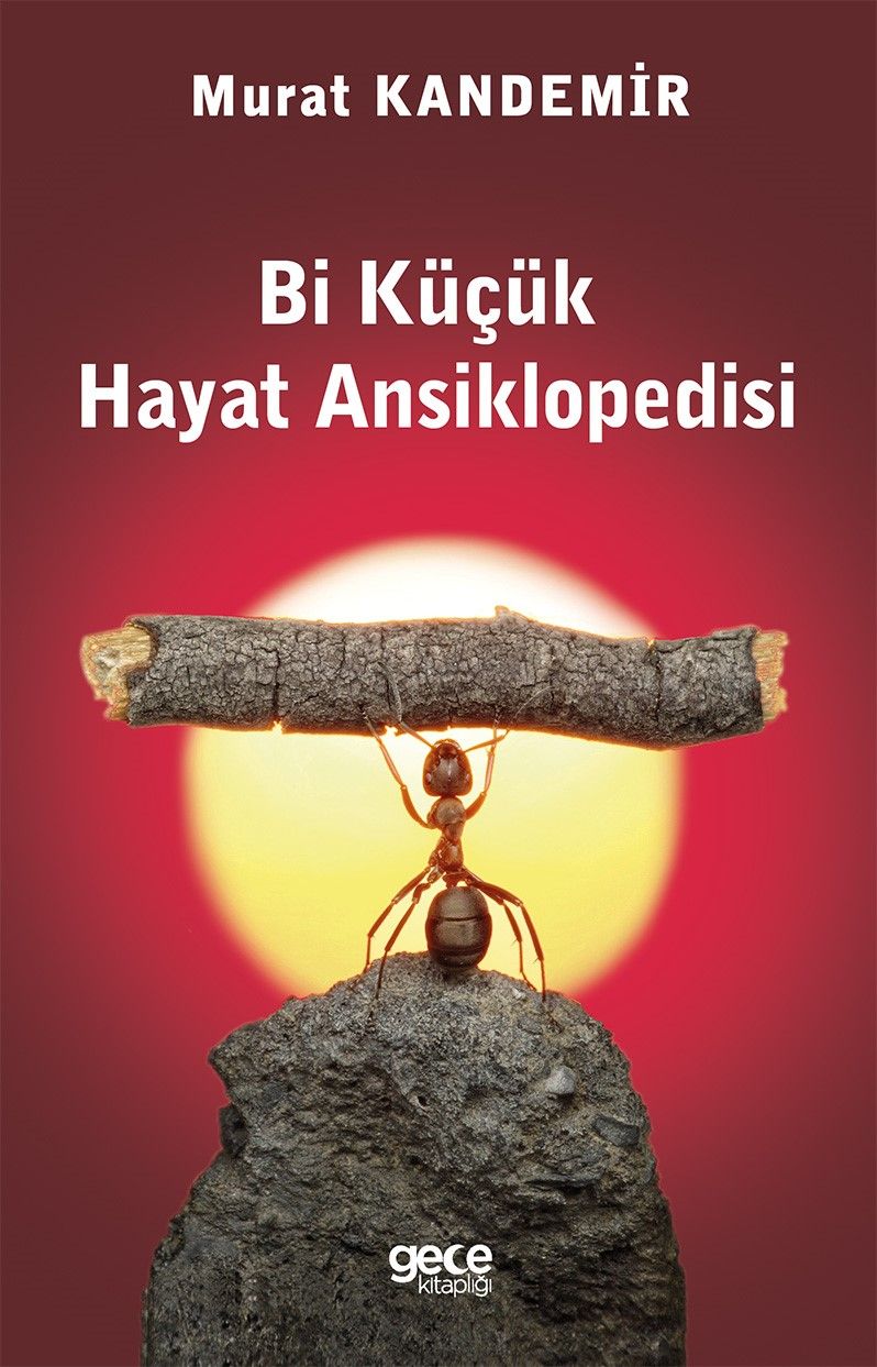 Bi Küçük Hayat Ansiklopedisi kapağı