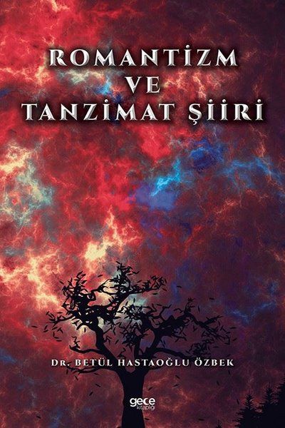 Romantizm ve Tanzimat Şiiri kapağı