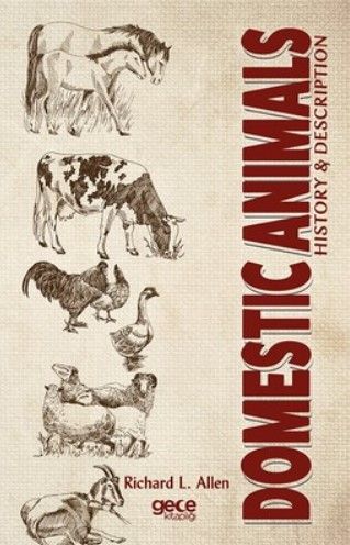 Domestic Animals kapağı