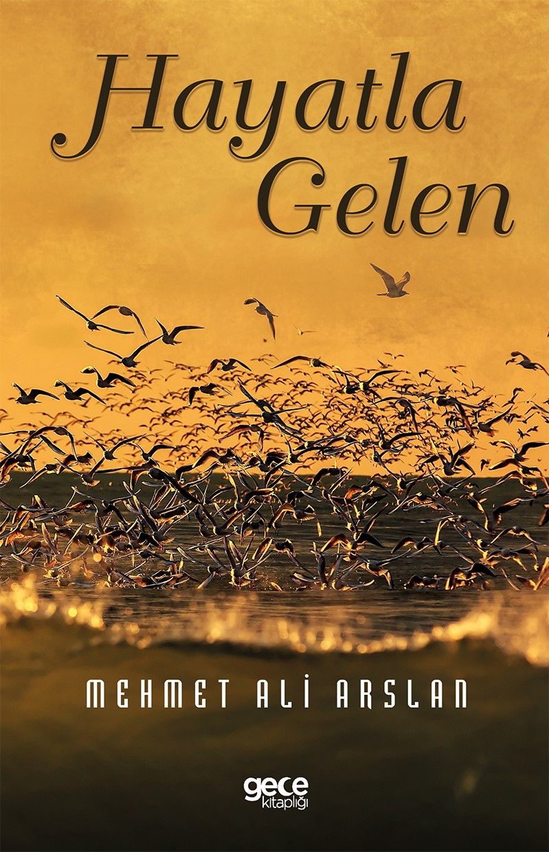 Hayatla Gelen kapağı